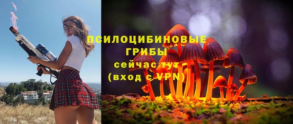 тгк Верхний Тагил